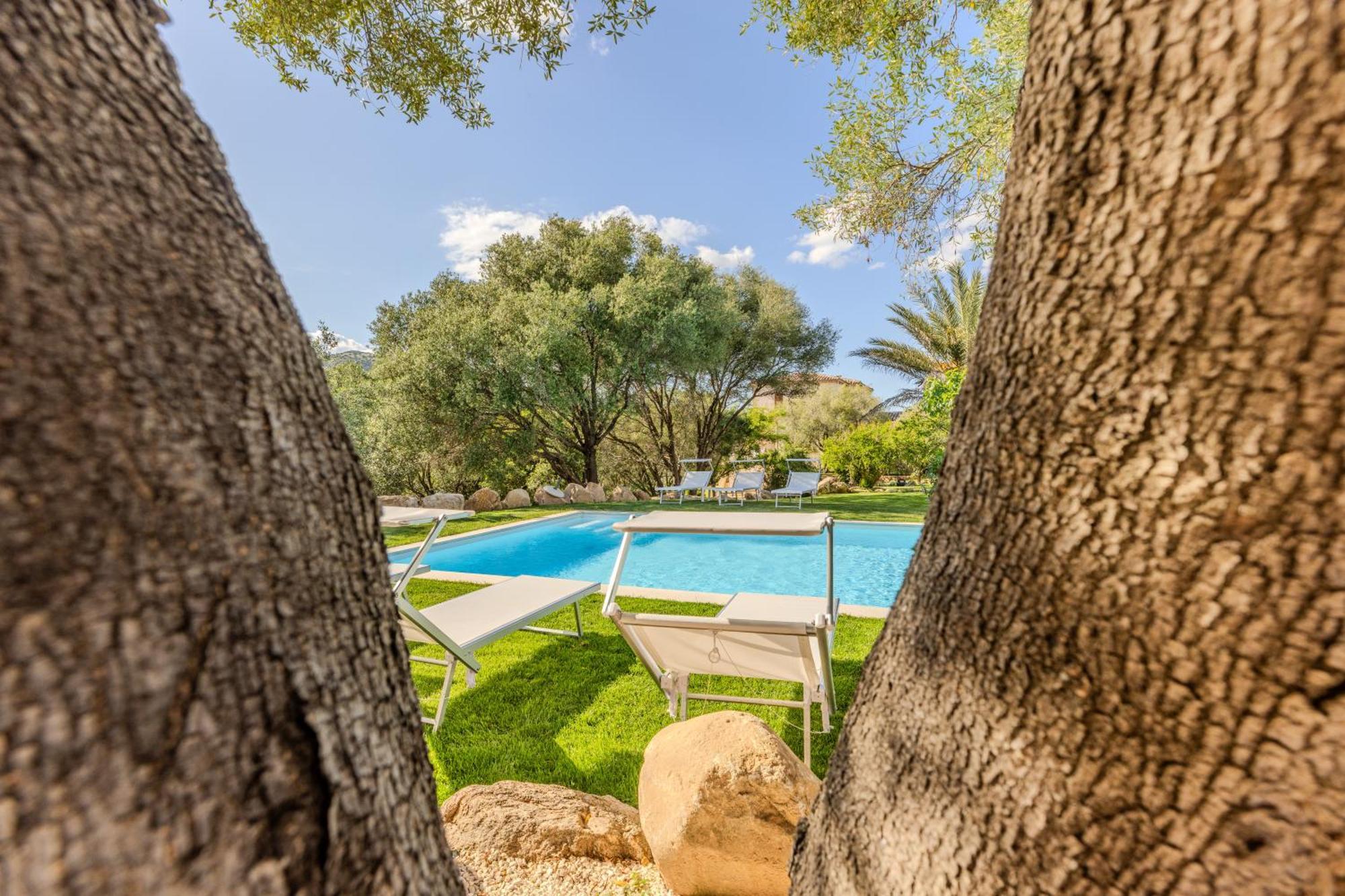Appartement Stazzo San Teodoro Piscina Condivisa Extérieur photo
